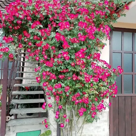Cit Ni Bed & Breakfast 3*