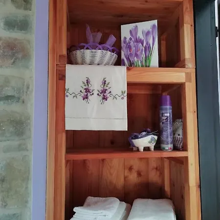 Frühstückspension Cit Ni 3*