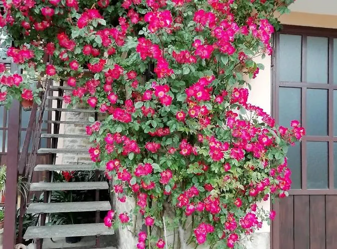 Cit Ni Frühstückspension 3*