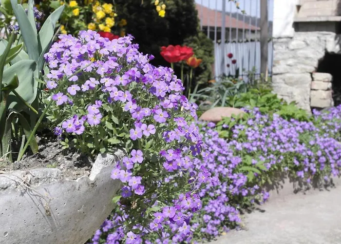 Cit Ni Frühstückspension