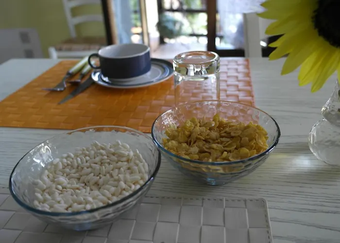 Bed and breakfast Cit Ni